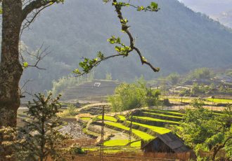 belle-riziere-en-terrasse