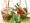 presentation-de-rouleaux-de-printemps-vietnamien