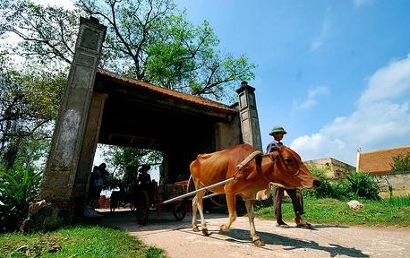 village-de-duong-lam-au-vietnam