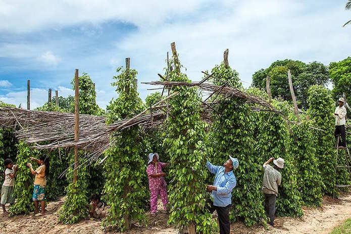 Chhloung Cambodge voyage