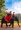 circuit-angkor-6-jours-saveurs-angkor