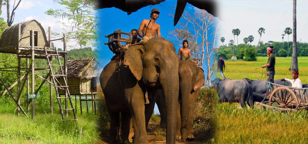 circuit-nord-cambodge-ethnie-15-jours