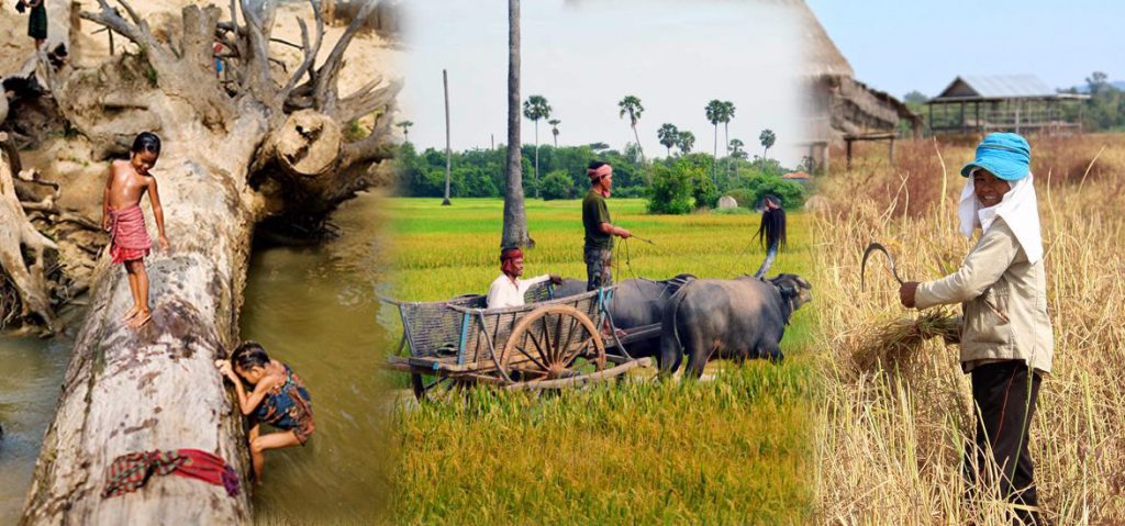 circuit-terre-cambodge-14-jours