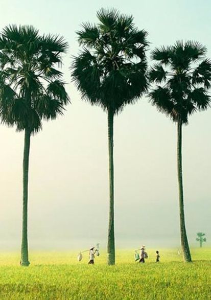 circuit-terre-sauvage-du-cambodge-indochine