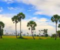 la-campagne-tranquille-cambodge-photos-voyage