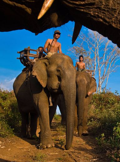 photo-voyage-nord-du-cambodge