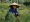 souris-des-paysants-vietnamiens