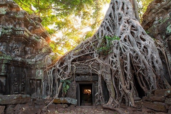 ta-prohm-voyage-au-cambodge