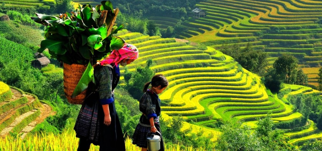 voyge-de-noces-photo-circuit-vietnam