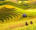 paysages-du-nord-vietnam