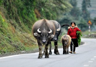 Jean-Pierre-FAURE-sejour-au-vietnam