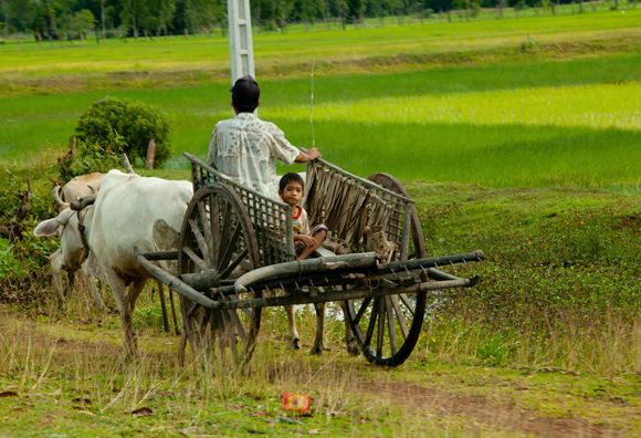 voyage a battambang cambodge