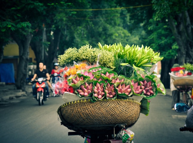 circuit arome du printemps au vietnam en 14 jours et 13 nuits