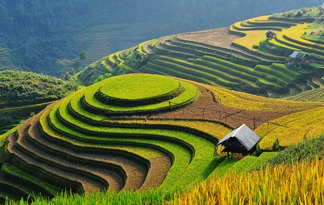 circuit pitons rocheux nord-est en 9 jours et 8 nuits