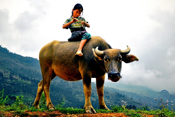 circuit rencontre vietnamienne photo