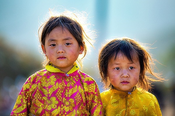 circuit saveurs du vietnam 15 jours