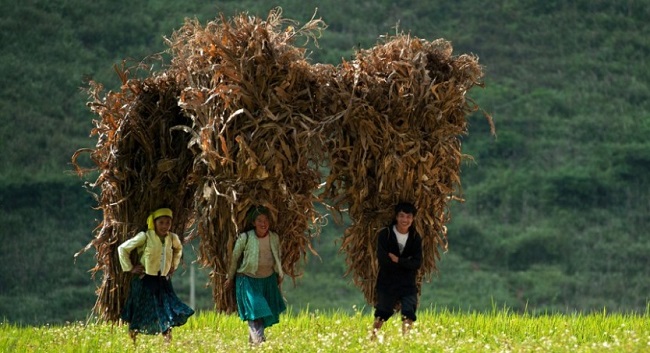 photo-circuit-vietnam-tel-qu-il-est