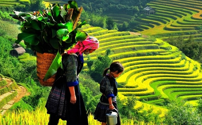 voyage de noce au vietnam - circuit saveurs du vietnam