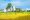 savoir vivre cam paysage